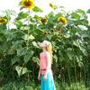 Giant sunflowers