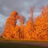 Autumn color on an Indian summer day.